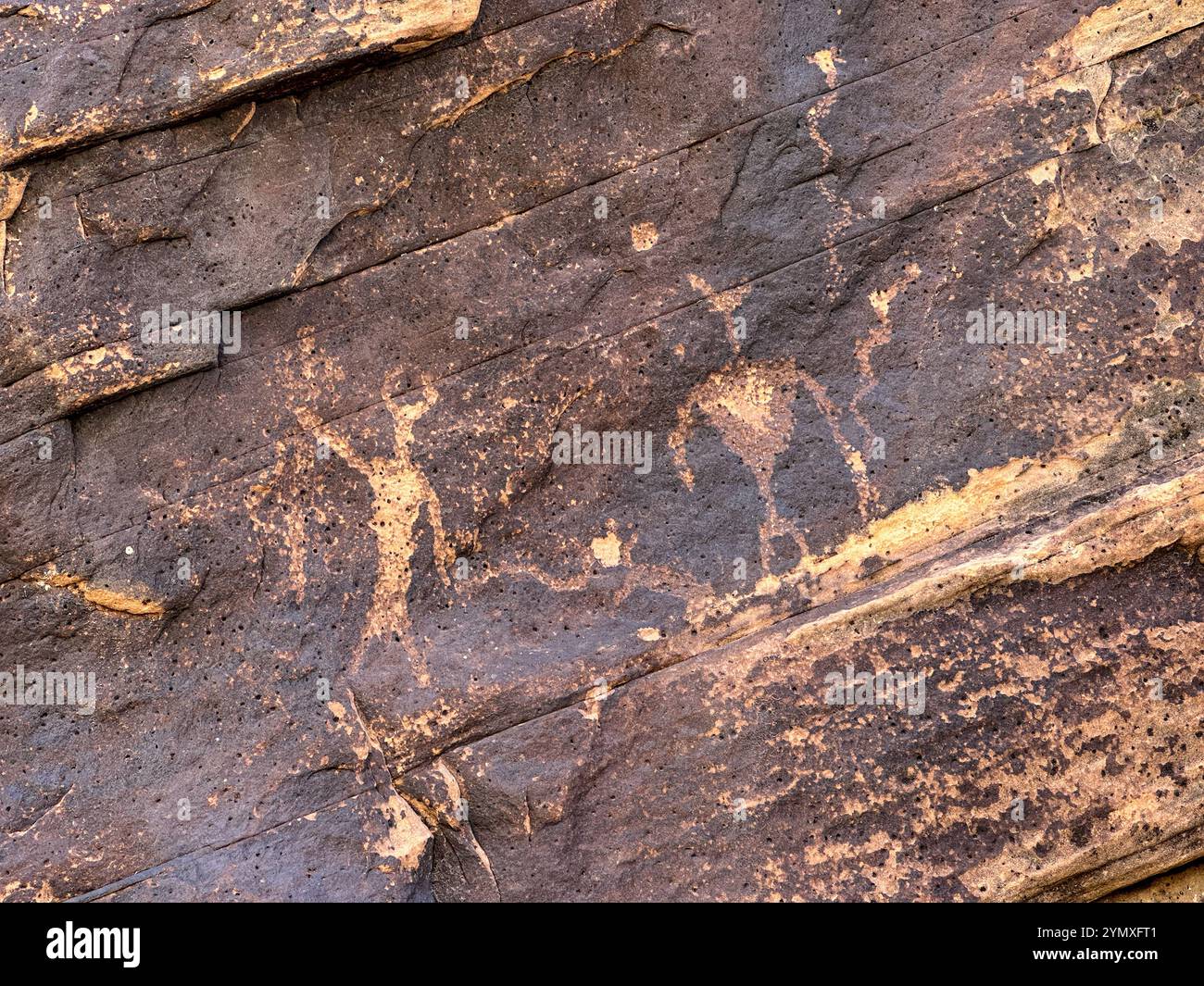 Petroglifi al Rock Art Ranch di Winslow, Arizona, Stati Uniti Foto Stock