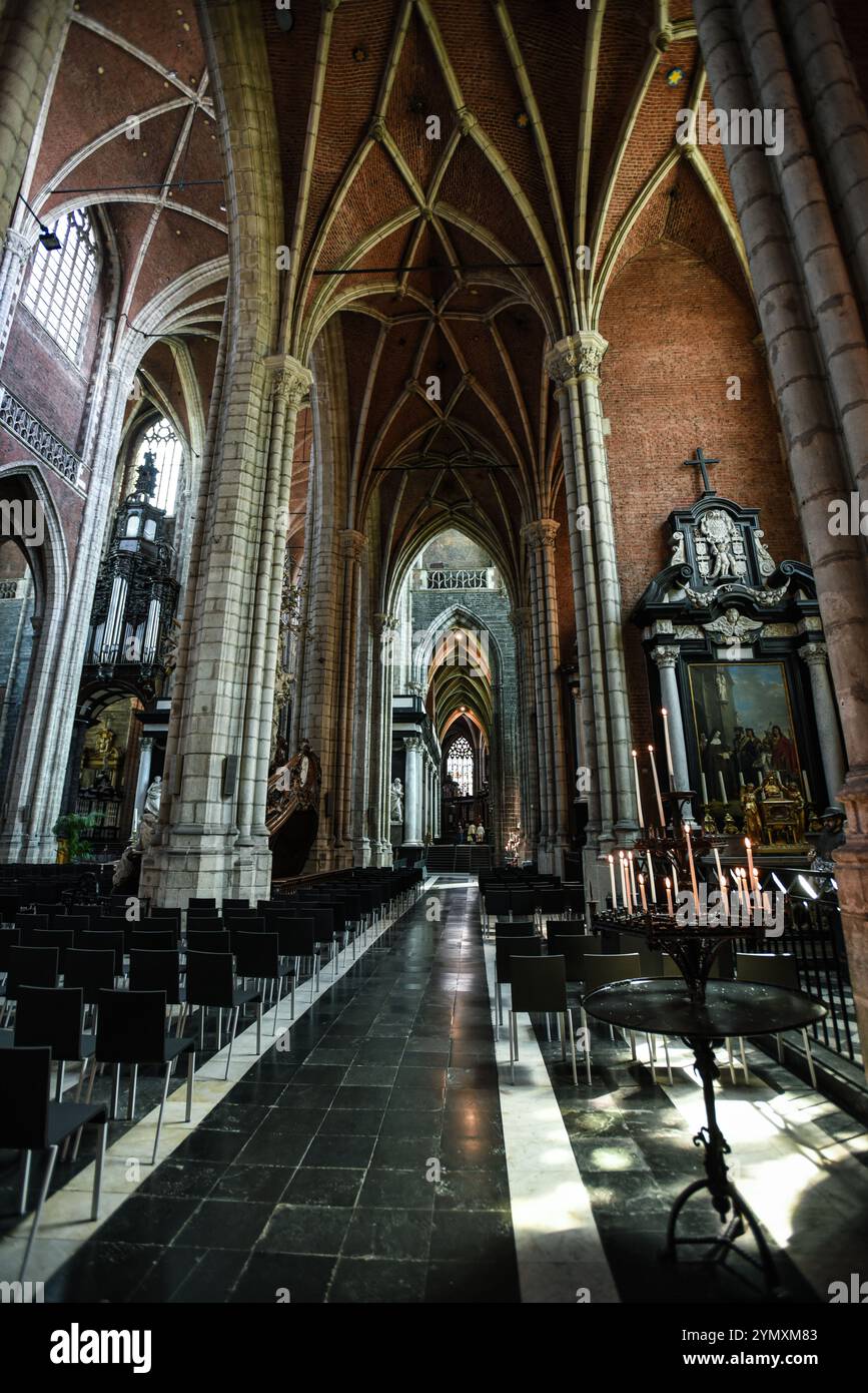 Archi gotici e corridoi della Cattedrale di San Bavone - Gand, Belgio Foto Stock