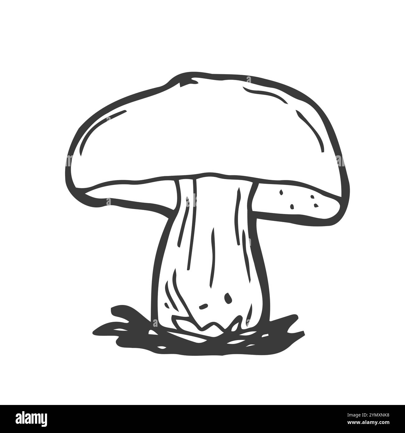 Illustrazione vettoriale disegnata a mano con funghi porcini. Disegno di stile di schizzo isolato su sfondo bianco con pezzi tagliati. Oggetto vegetariano biologico per m Illustrazione Vettoriale