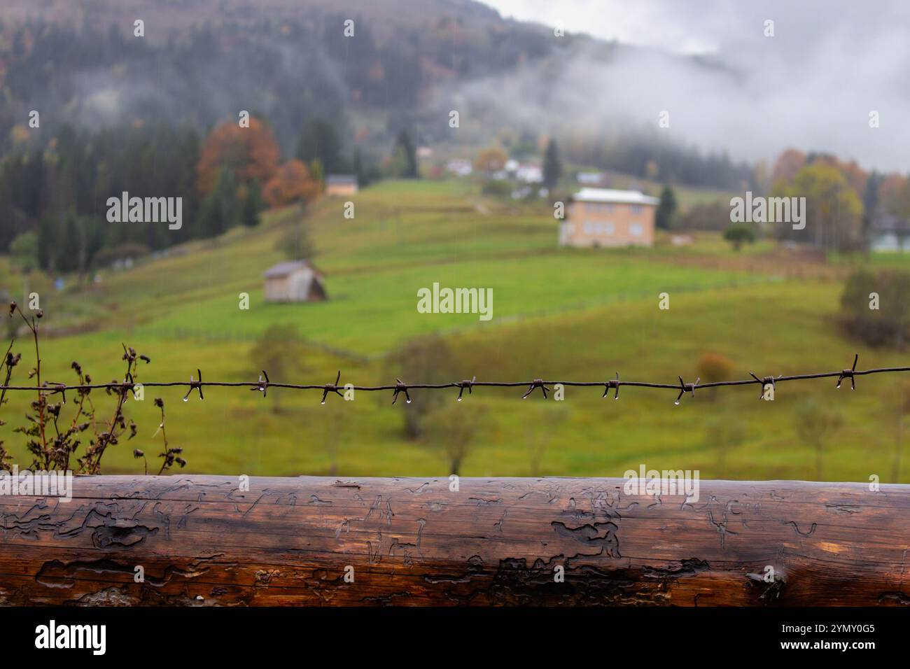 Villaggio di montagna con filo spinato in primo piano nelle giornate piovose. Paesaggio autunnale sulle montagne dei Carpazi. Tranquillo paesaggio rurale con foresta autunnale. Foto Stock