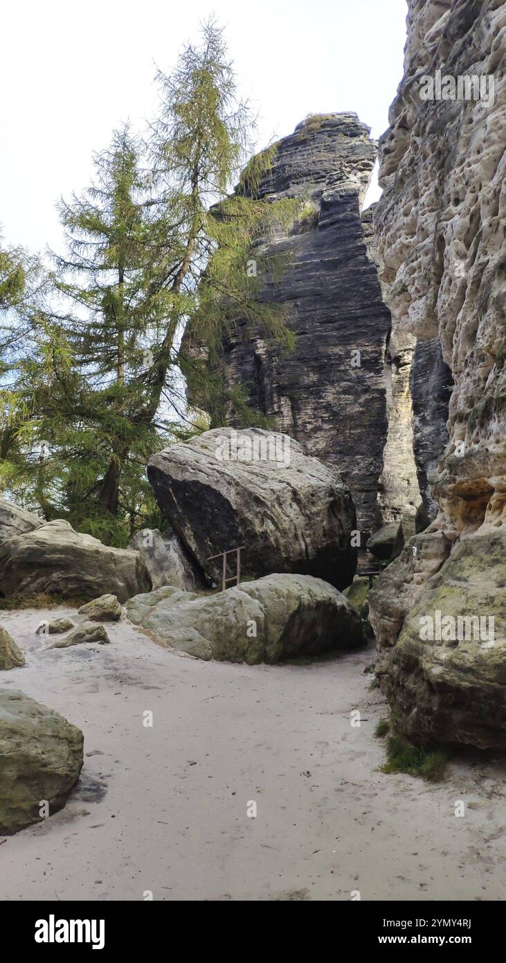 Tyssa Walls, città rocciosa, Svizzera boema, Repubblica Ceca, Europa Foto Stock