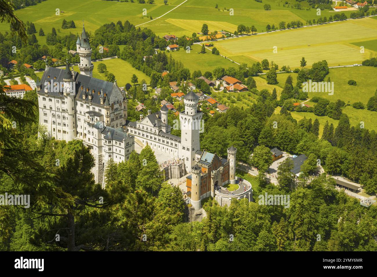 Castello di Neuschwanstein, Schwangau, Ostallgaeu, Allgaeu, Svevia, Baviera, Germania, Europa Foto Stock