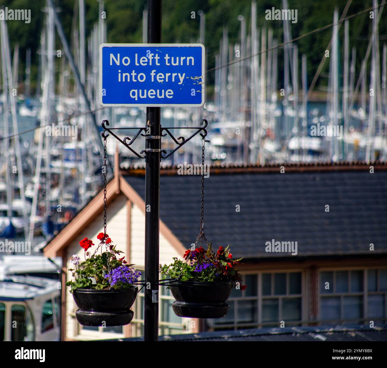 Un cartello blu con la scritta "No left turn into Ferry Queue" è appeso sopra i cesti di fiori con un porticciolo sullo sfondo Kingswear Dartmouth Foto Stock