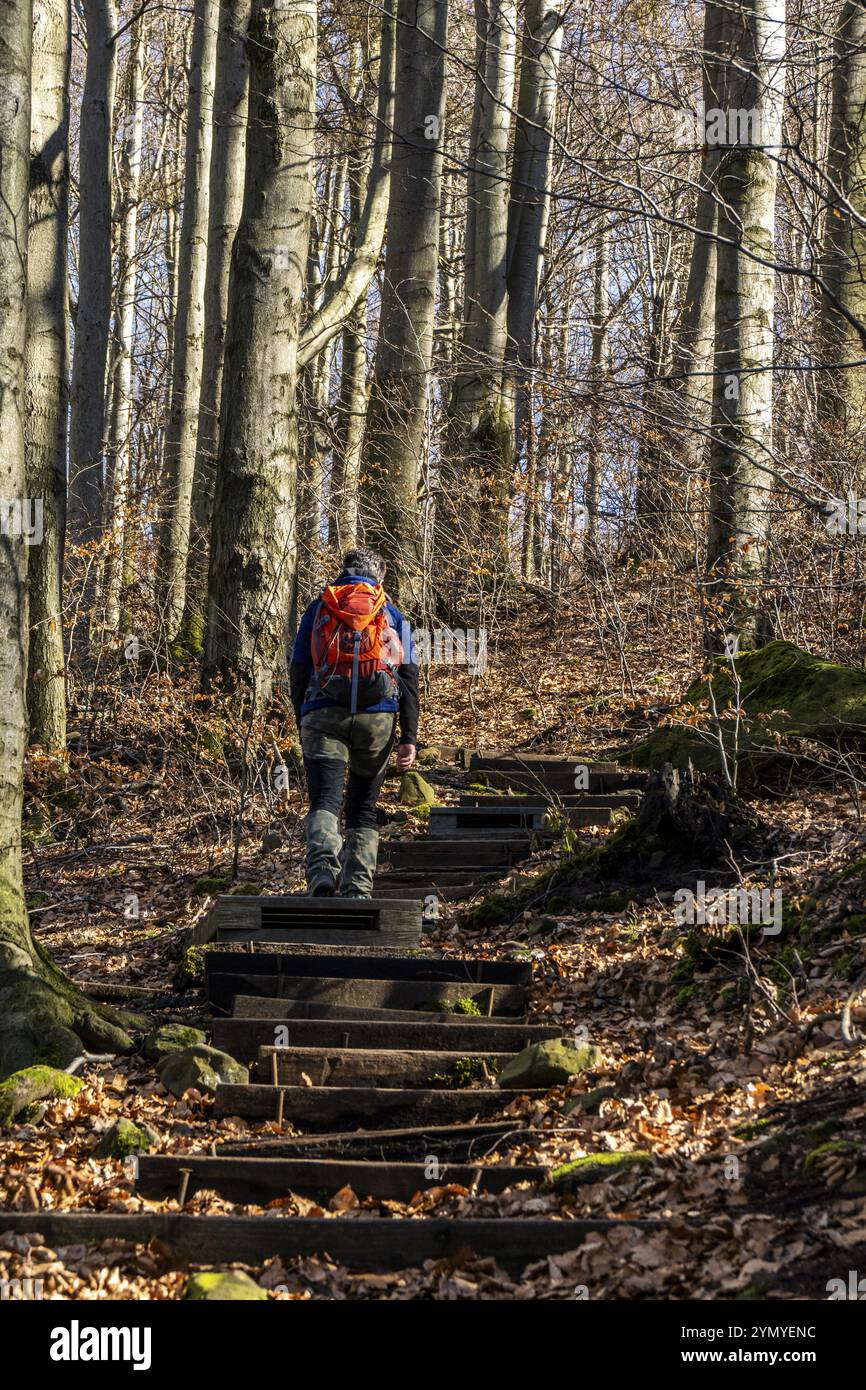 Salita ripida al Grosser Winterberg nella Svizzera sassone Foto Stock