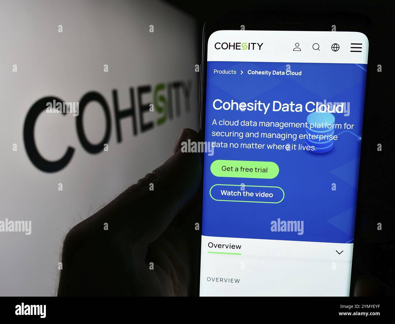 Stoccarda, Germania, 05-21-2024: Persona che detiene il cellulare con pagina web della società statunitense di gestione dati Cohesity Inc. Davanti al logo aziendale. Concentrati su Foto Stock