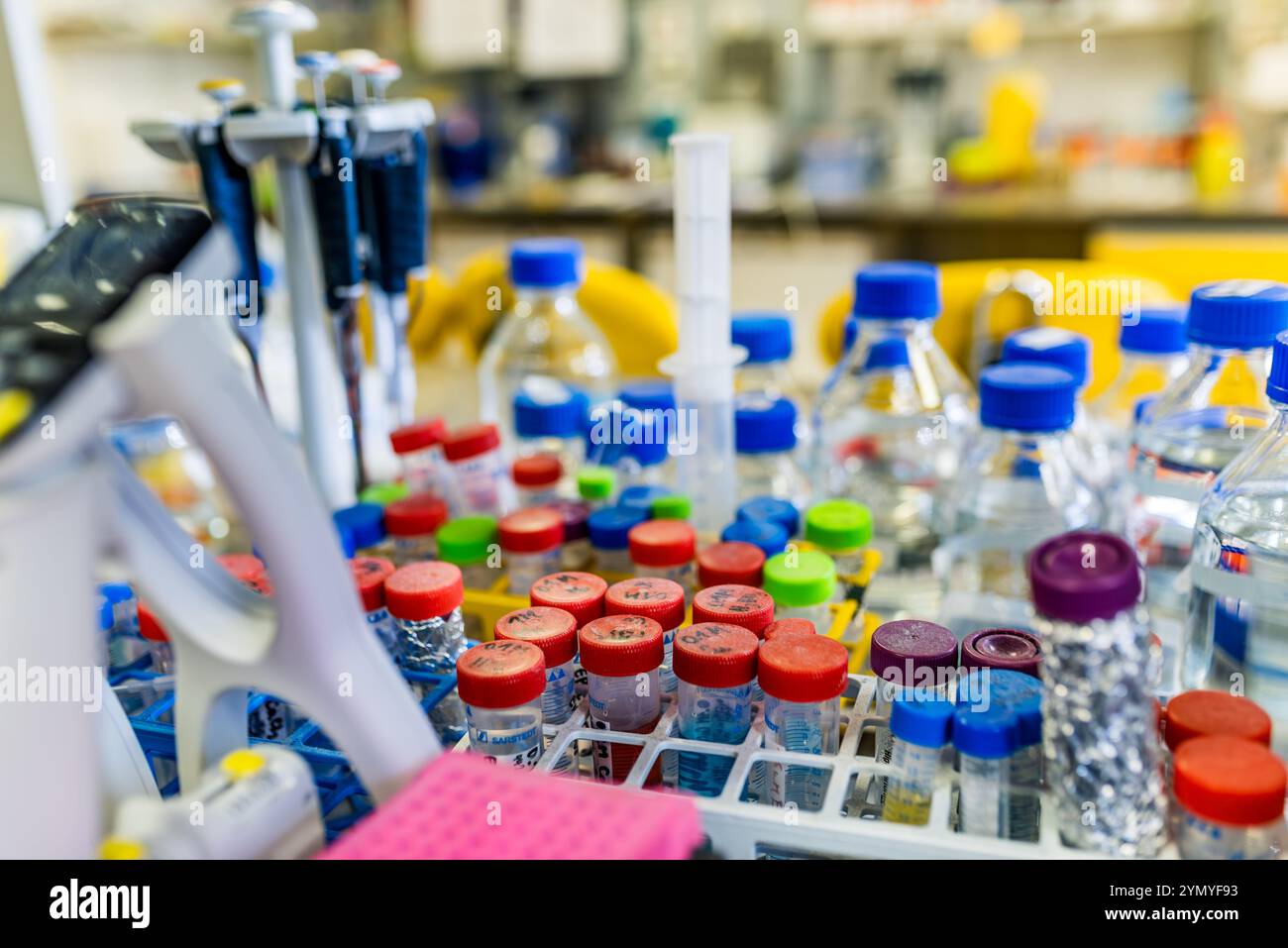 Banco da lavoro da laboratorio ben organizzato con forniture chimiche, provette per campioni e apparecchiature di ricerca essenziali Foto Stock