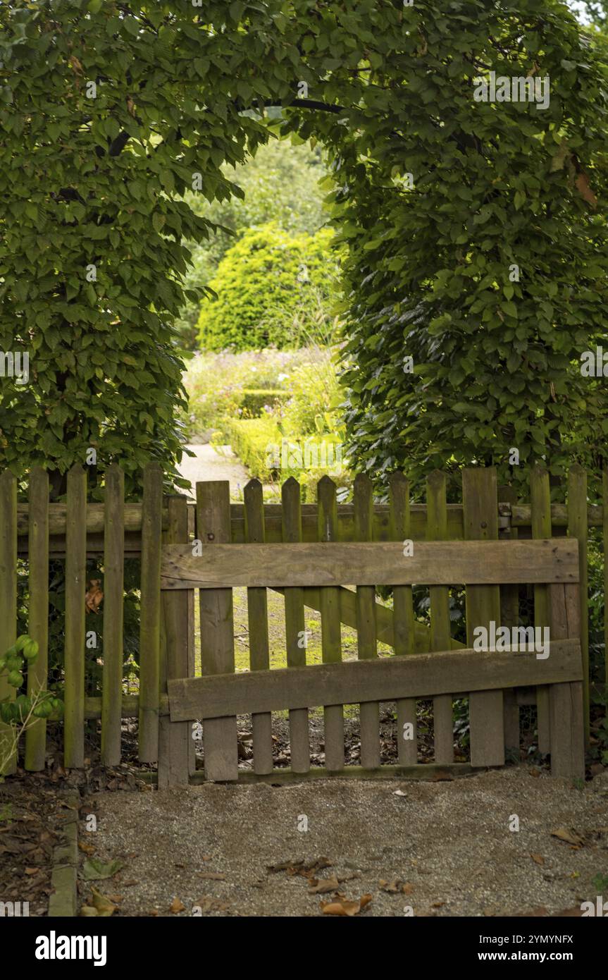 Ingresso al giardino, cancello in legno con siepe Foto Stock