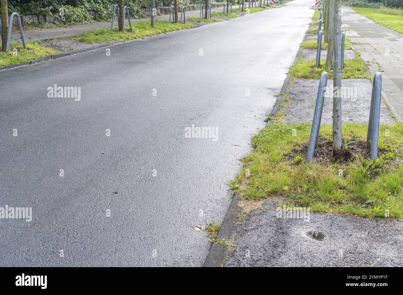 Le staffe in metallo proteggono gli alberi stradali Foto Stock