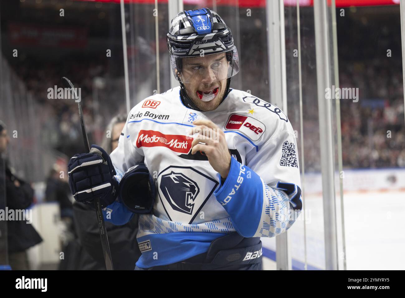 LanxessArena, Renania settentrionale-Vestfalia, Alex Breton (ERC Ingolstadt, #75), PENNY DEL, Koelner Haie-ERC Ingolstadt il 22/11/2024 alla LanxessArena in C Foto Stock