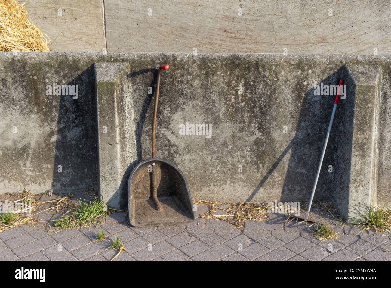 Pala e rastrello per estrarre le stalle Foto Stock