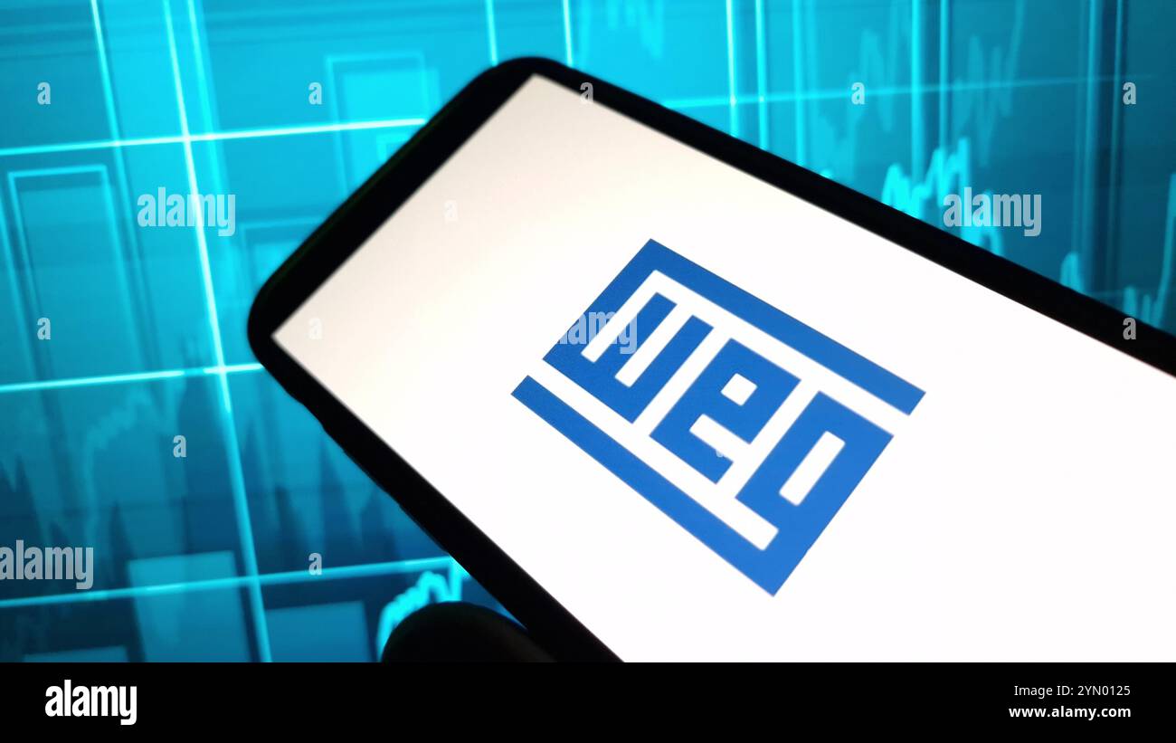 Konskie, Polonia - 23 novembre 2024: WEG SUL logo aziendale visualizzato sul cellulare Foto Stock