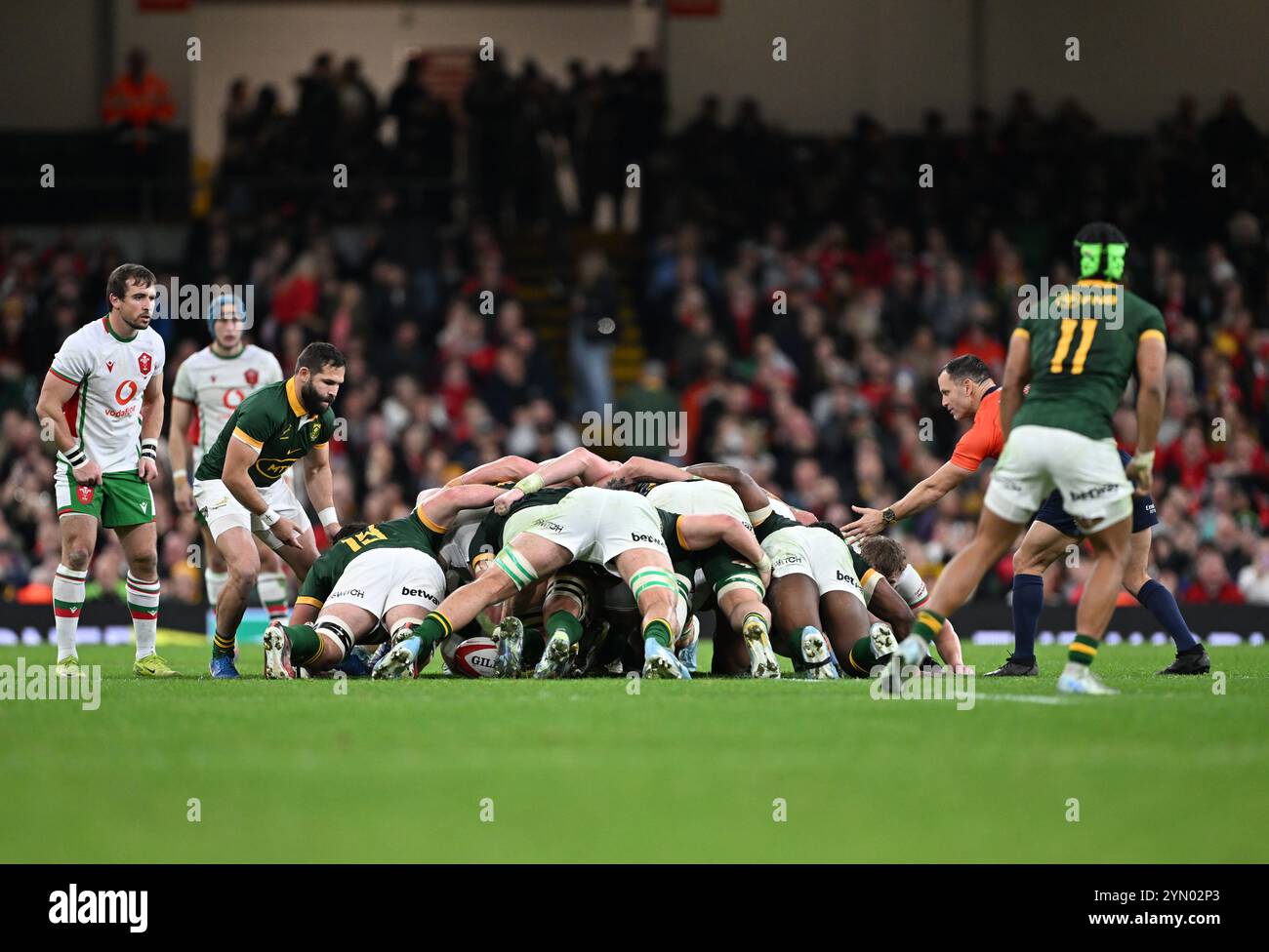 23 novembre 2024; Principality Stadium, Cardiff, Galles: Autumn Rugby International, Wales versus South Africa; Cameron Hanekom del Sud Africa alimenta la palla in uno scrum Foto Stock