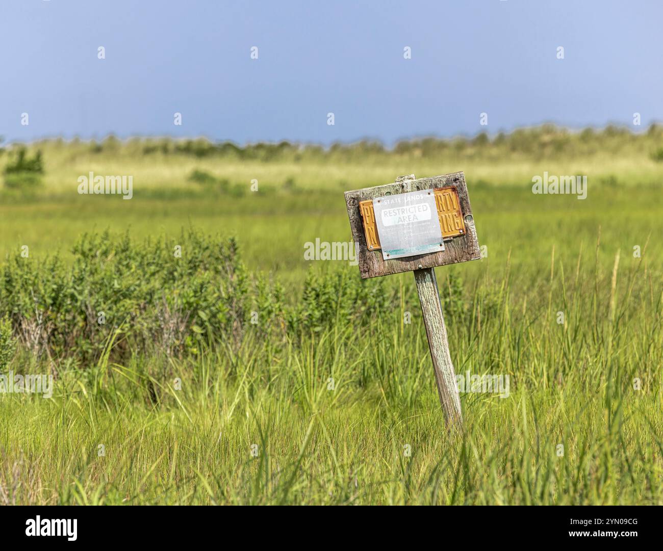 insegna intempestiva su un palo di legno in erba alta su un tratto di napeague Foto Stock