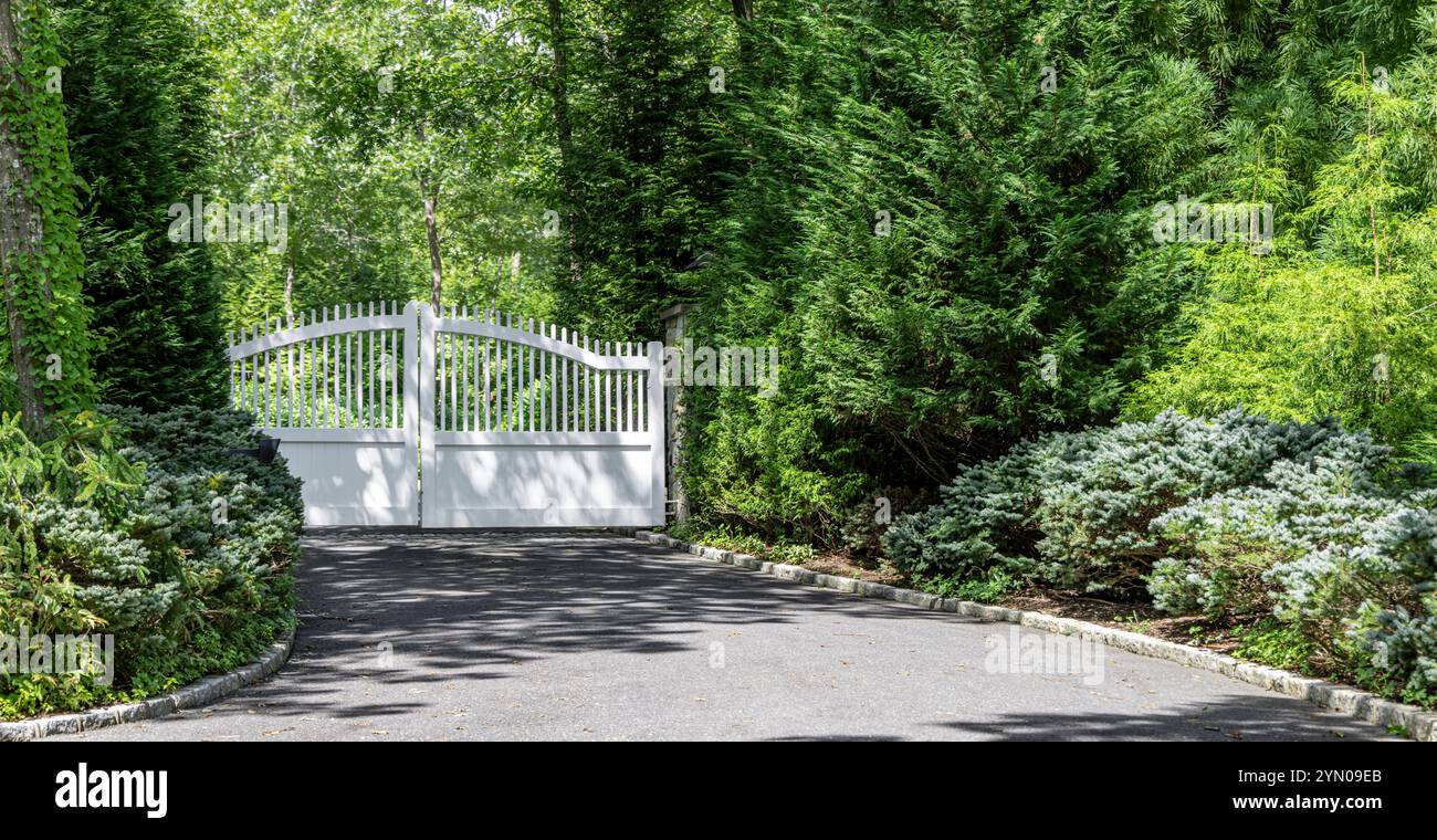 paesaggio lussureggiante e vialetto pavimentato con cancelli elettrici bianchi Foto Stock