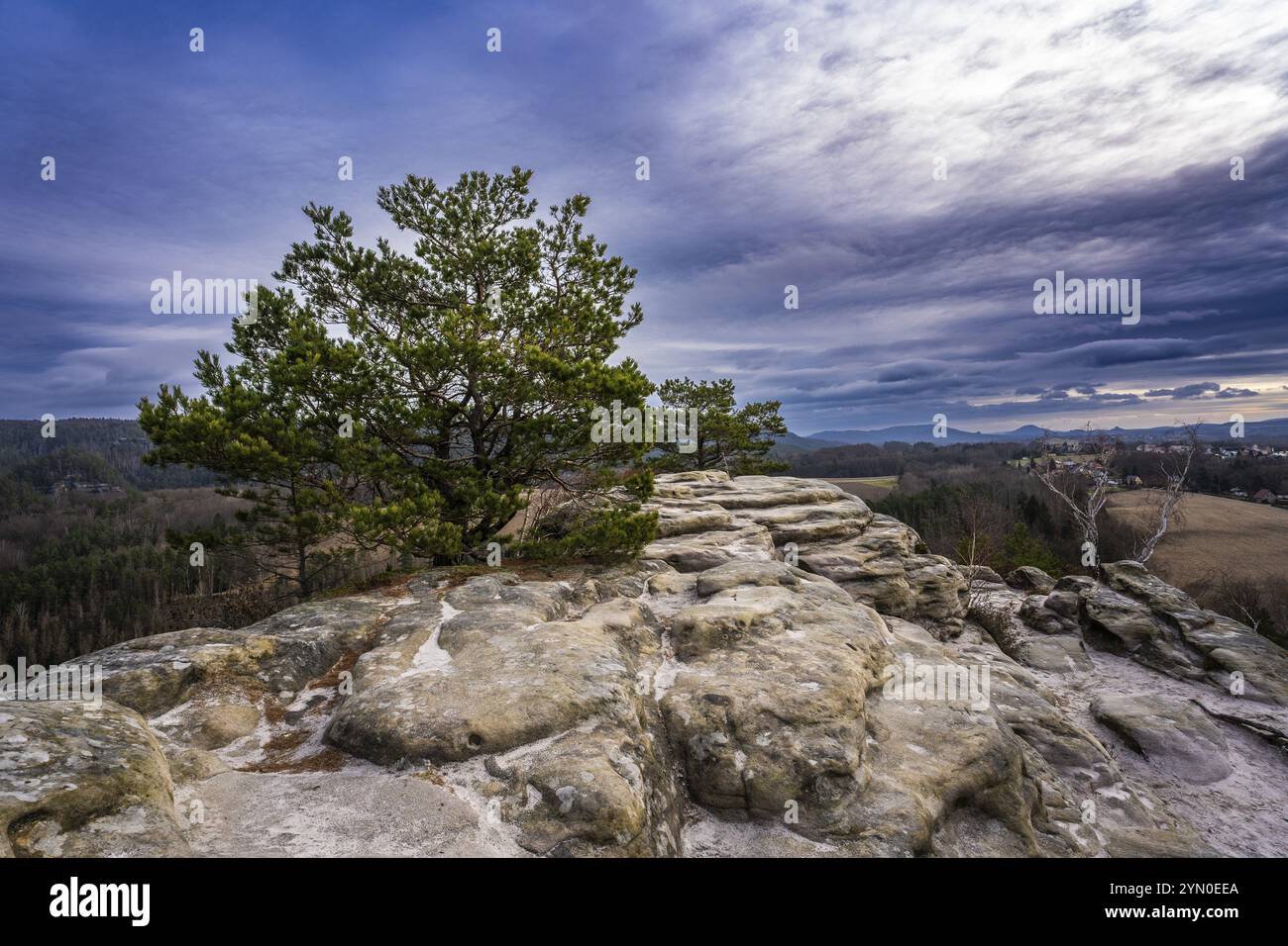 Picco roccioso con pino nella Svizzera sassone 6 Foto Stock