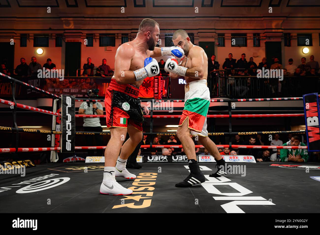 LONDRA, REGNO UNITO. 22 novembre 24. Alban Bermeta vs Leone Ospino durante Warren Boxing Management pret. Hysa vs bracamonte e undercard a York Hall venerdì 22 novembre 2024 a LONDRA, INGHILTERRA. Crediti: Taka G Wu/Alamy Live News Foto Stock