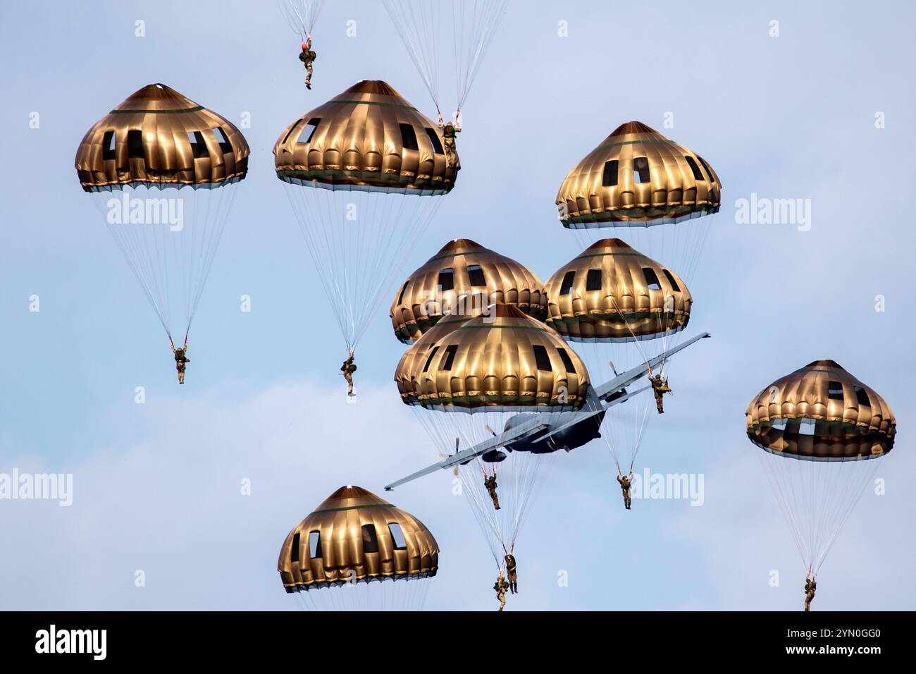 Paracadutisti militari della NATO paracadutisti paracadutisti che saltano da un aereo da trasporto Lockheed C-130 Hercules durante l'esercitazione Falcon Leap. I Paesi Bassi Foto Stock