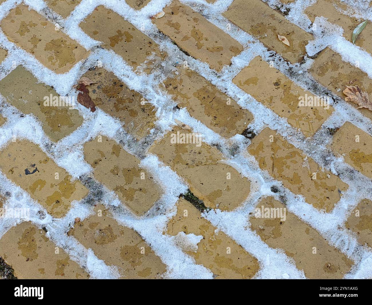 Geometria invernale: Ciottoli innevati Foto Stock