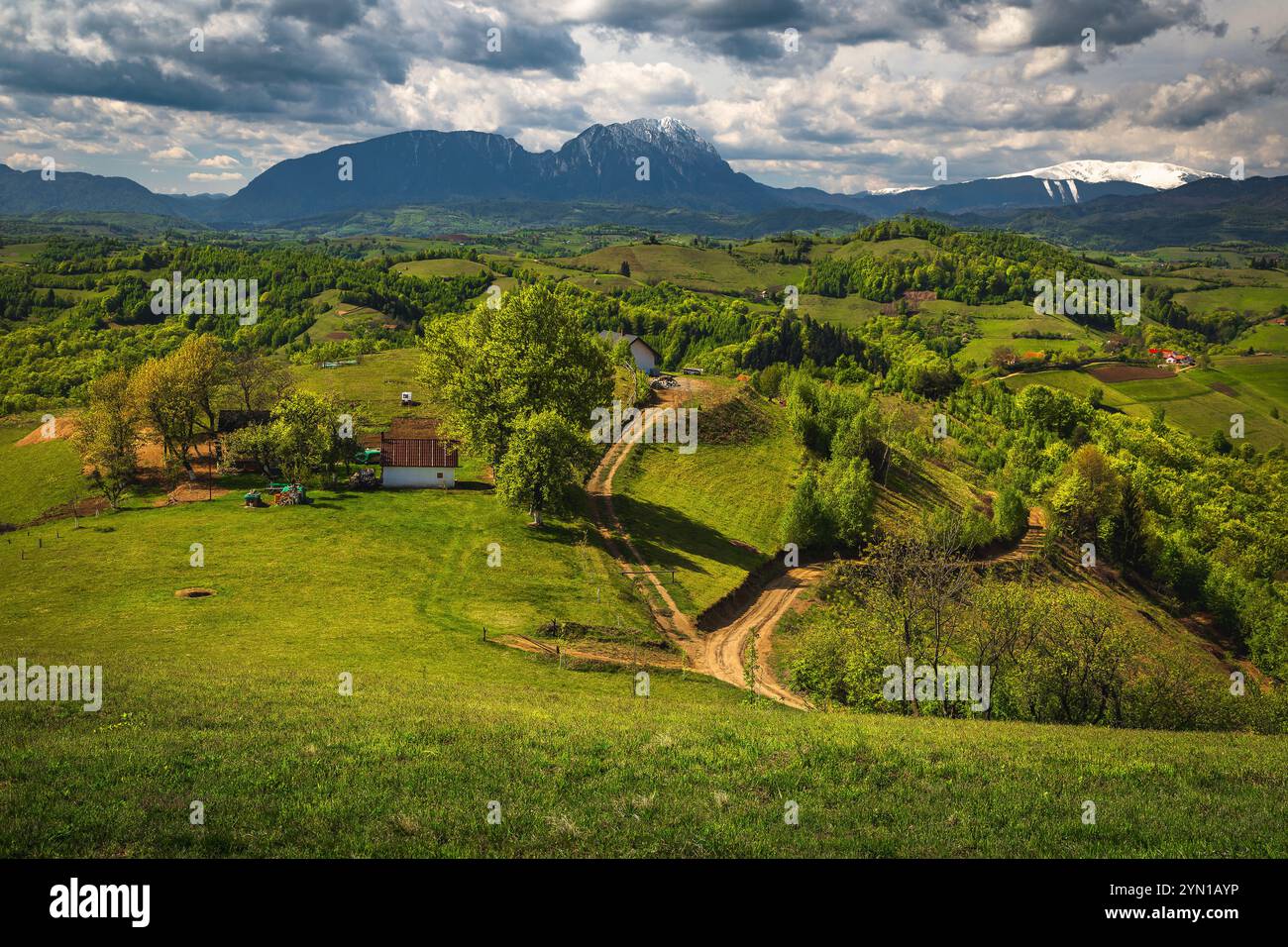 Splendido paesaggio primaverile con strada rurale e ranch sul pendio, montagne di Piatra Craiului sullo sfondo, Holbav, Romania, Europa Foto Stock
