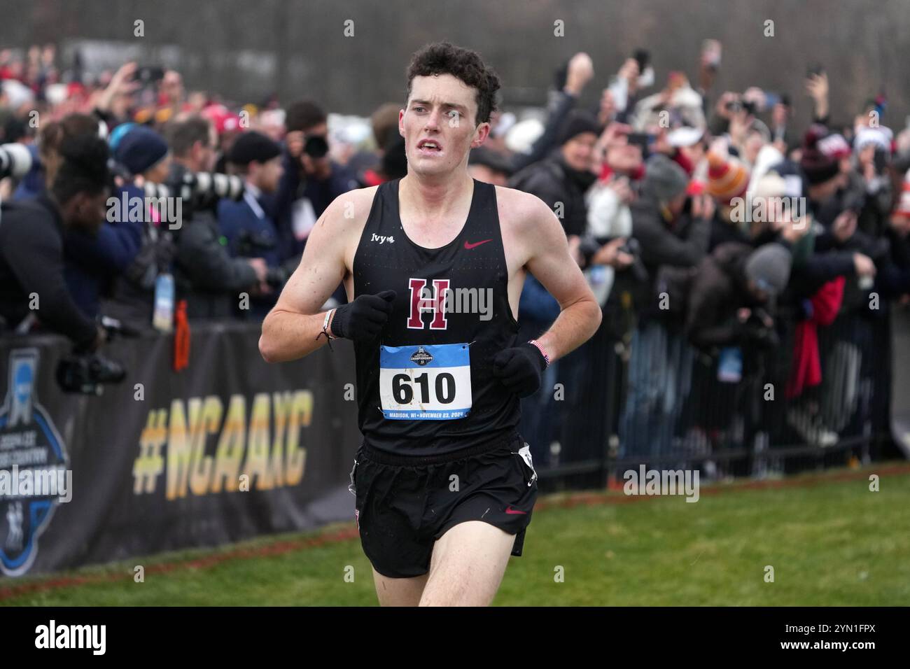 Madison, Wisconsin, Stati Uniti. 23 novembre 2024. Graham Blanks di Harvard vince la gara maschile con un record di 28:37,2 durante i campionati NCAA di fondo al Thomas Zimmer Championship Course, sabato 23 novembre 2024, a Madison, Wisc. Crediti: Kirby Lee/Alamy Live News Foto Stock