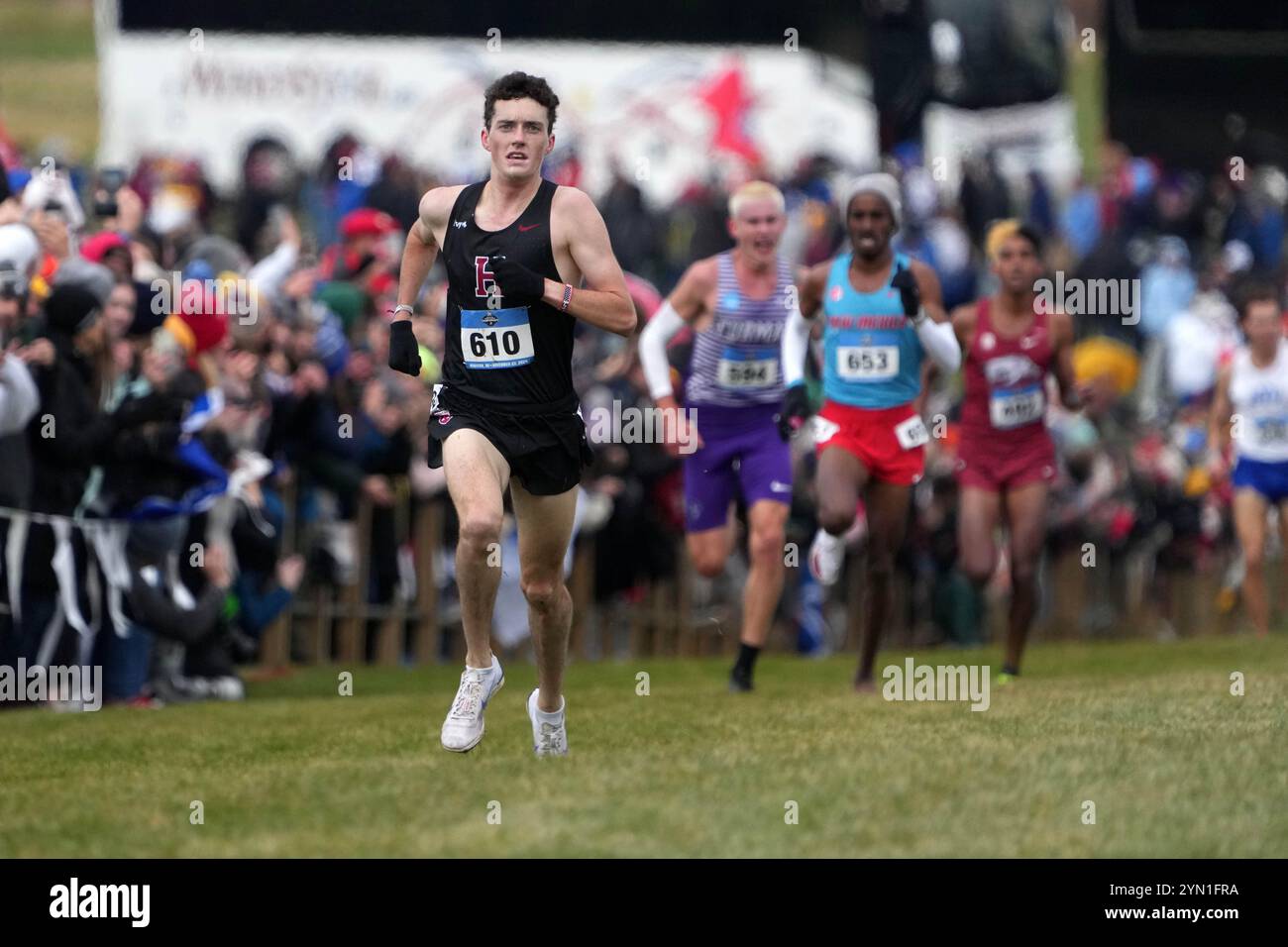 Madison, Wisconsin, Stati Uniti. 23 novembre 2024. Graham Blanks di Harvard vince la gara maschile con un record di 28:37,2 durante i campionati NCAA di fondo al Thomas Zimmer Championship Course, sabato 23 novembre 2024, a Madison, Wisc. Crediti: Kirby Lee/Alamy Live News Foto Stock