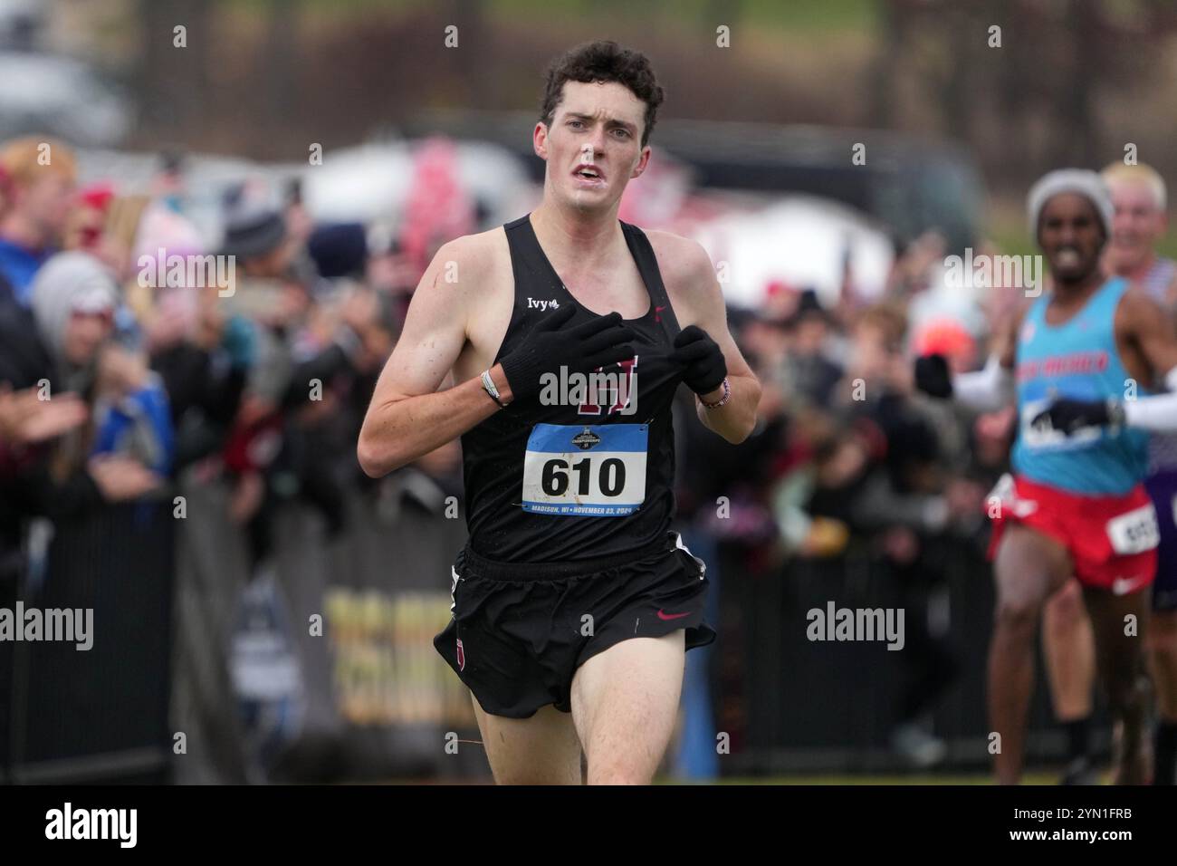 Madison, Wisconsin, Stati Uniti. 23 novembre 2024. Graham Blanks di Harvard vince la gara maschile con un record di 28:37,2 durante i campionati NCAA di fondo al Thomas Zimmer Championship Course, sabato 23 novembre 2024, a Madison, Wisc. Crediti: Kirby Lee/Alamy Live News Foto Stock