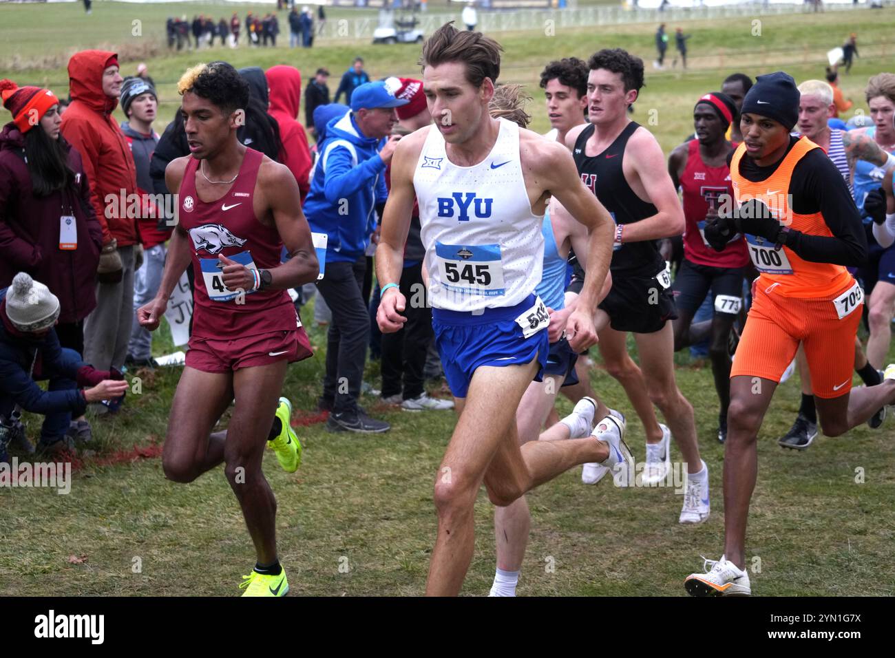 Madison, Wisconsin, Stati Uniti. 23 novembre 2024. Yaseen Abdalla dell'Arkansas (492) e Casey Clinger della BYU (545) guidano la gara maschile durante i campionati NCAA di fondo al Thomas Zimmer Championship Course, sabato 23 novembre 2024, a Madison, Wisc. Crediti: Kirby Lee/Alamy Live News Foto Stock
