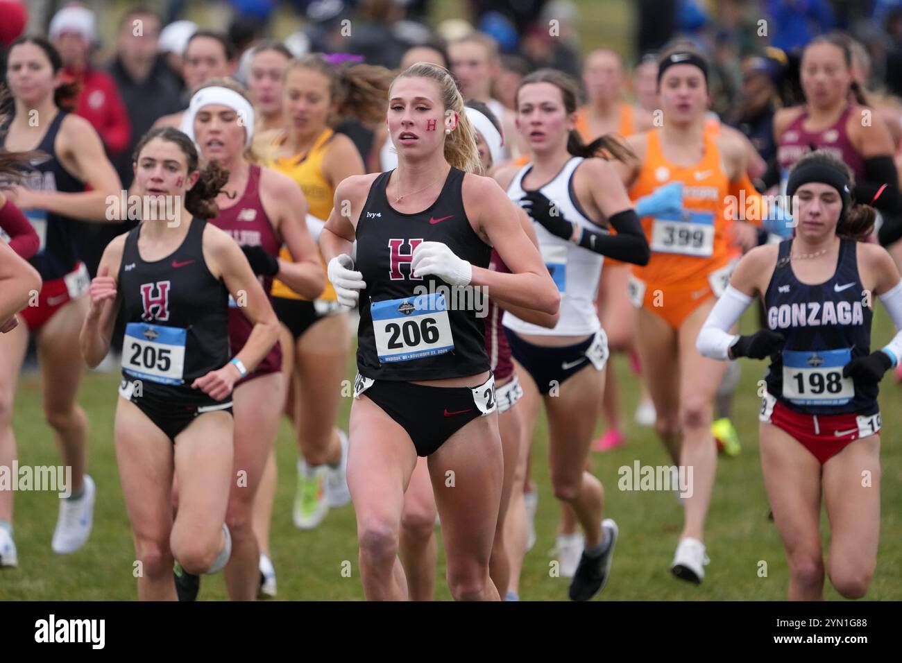 Madison, Wisconsin, Stati Uniti. 23 novembre 2024. Ella Gilson di Harvard corre nella gara femminile durante i campionati NCAA di fondo al Thomas Zimmer Championship Course, sabato 23 novembre 2024, a Madison, Wisc. Crediti: Kirby Lee/Alamy Live News Foto Stock