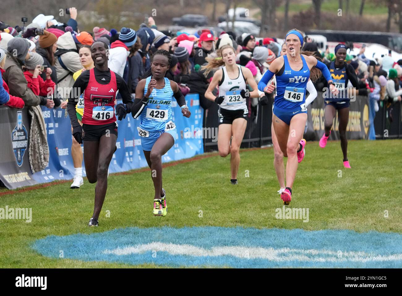 Madison, Wisconsin, Stati Uniti. 23 novembre 2024. Juliet Cherubet di Texas Tech (416), Caroline Jeptanui di Tulane (429) e Lexy Halladay-Lowry di BYU (146) corrono nella gara femminile durante i campionati NCAA di fondo al Thomas Zimmer Championship Course, sabato 23 novembre 2024, a Madison, Wisc. Crediti: Kirby Lee/Alamy Live News Foto Stock