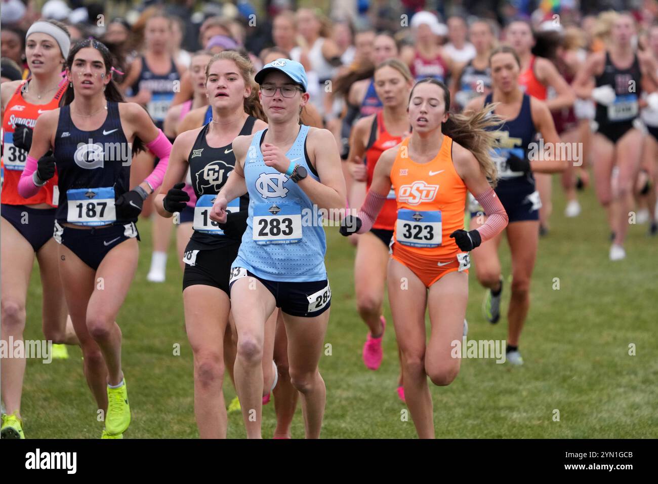 Madison, Wisconsin, Stati Uniti. 23 novembre 2024. Eva Klingbell della Carolina del Nord corre nella gara femminile durante i campionati NCAA di fondo al Thomas Zimmer Championship Course, sabato 23 novembre 2024, a Madison, Wisc. Crediti: Kirby Lee/Alamy Live News Foto Stock