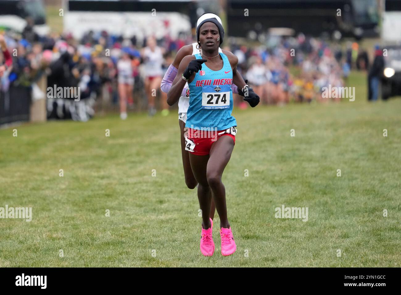 Madison, Wisconsin, Stati Uniti. 23 novembre 2024. Pamela Kosgei del New Mexico si piazza seconda nella gara femminile alle 19:27,8, durante i campionati NCAA di fondo al Thomas Zimmer Championship Course, sabato 23 novembre 2024, a Madison, Wisc. Crediti: Kirby Lee/Alamy Live News Foto Stock