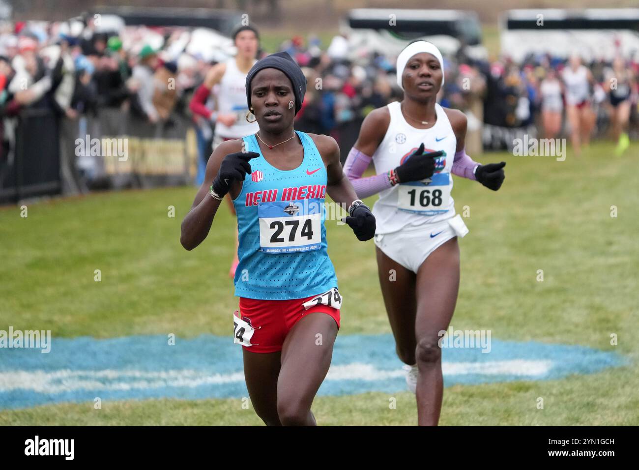 Madison, Wisconsin, Stati Uniti. 23 novembre 2024. Pamela Kosgei del New Mexico e ilda Olemomoi Florida si piazzano secondo e terzo nella gara femminile alle 19:27,8 e 19:28,7, durante i campionati NCAA di fondo sul campo da campionato Thomas Zimmer, sabato 23 novembre 2024, a Madison, Wisc. Crediti: Kirby Lee/Alamy Live News Foto Stock