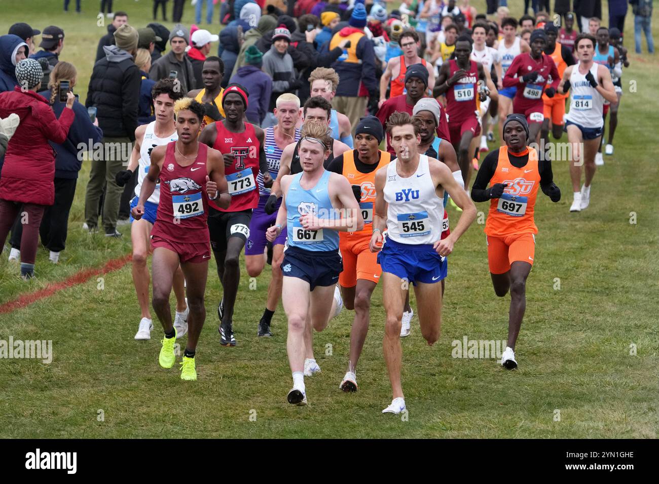 Madison, Wisconsin, Stati Uniti. 23 novembre 2024. Yaseen Abdalla dell'Arkansas (492), Parker Wolfe della Carolina del Nord (667) e Casey Clinger della BYU (545) guidano la gara maschile durante i campionati NCAA di fondo al Thomas Zimmer Championship Course, sabato 23 novembre 2024, a Madison, Wisc. Crediti: Kirby Lee/Alamy Live News Foto Stock