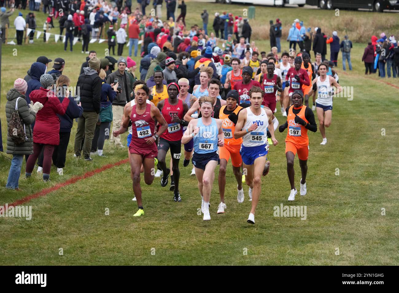Madison, Wisconsin, Stati Uniti. 23 novembre 2024. Yaseen Abdalla dell'Arkansas (492), Parker Wolfe della Carolina del Nord (667) e Casey Clinger della BYU (545) guidano la gara maschile durante i campionati NCAA di fondo al Thomas Zimmer Championship Course, sabato 23 novembre 2024, a Madison, Wisc. Crediti: Kirby Lee/Alamy Live News Foto Stock