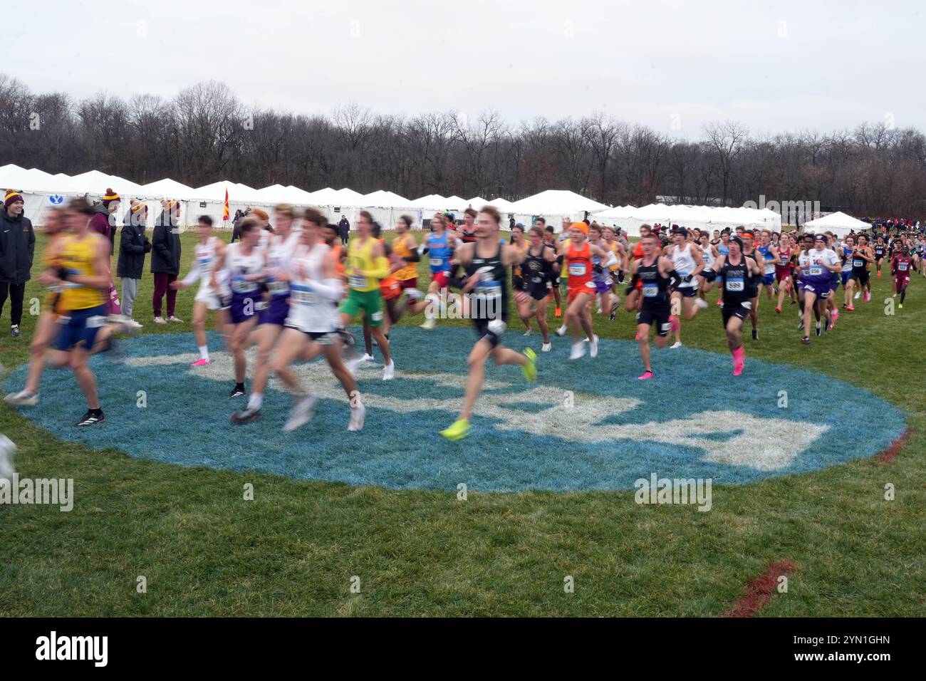 Madison, Wisconsin, Stati Uniti. 23 novembre 2024. Una visione generale dei corridori che corrono sopra il logo NCAA durante i campionati NCAA di fondo al Thomas Zimmer Championship Course, sabato 23 novembre 2024, a Madison, Wisc. Crediti: Kirby Lee/Alamy Live News Foto Stock