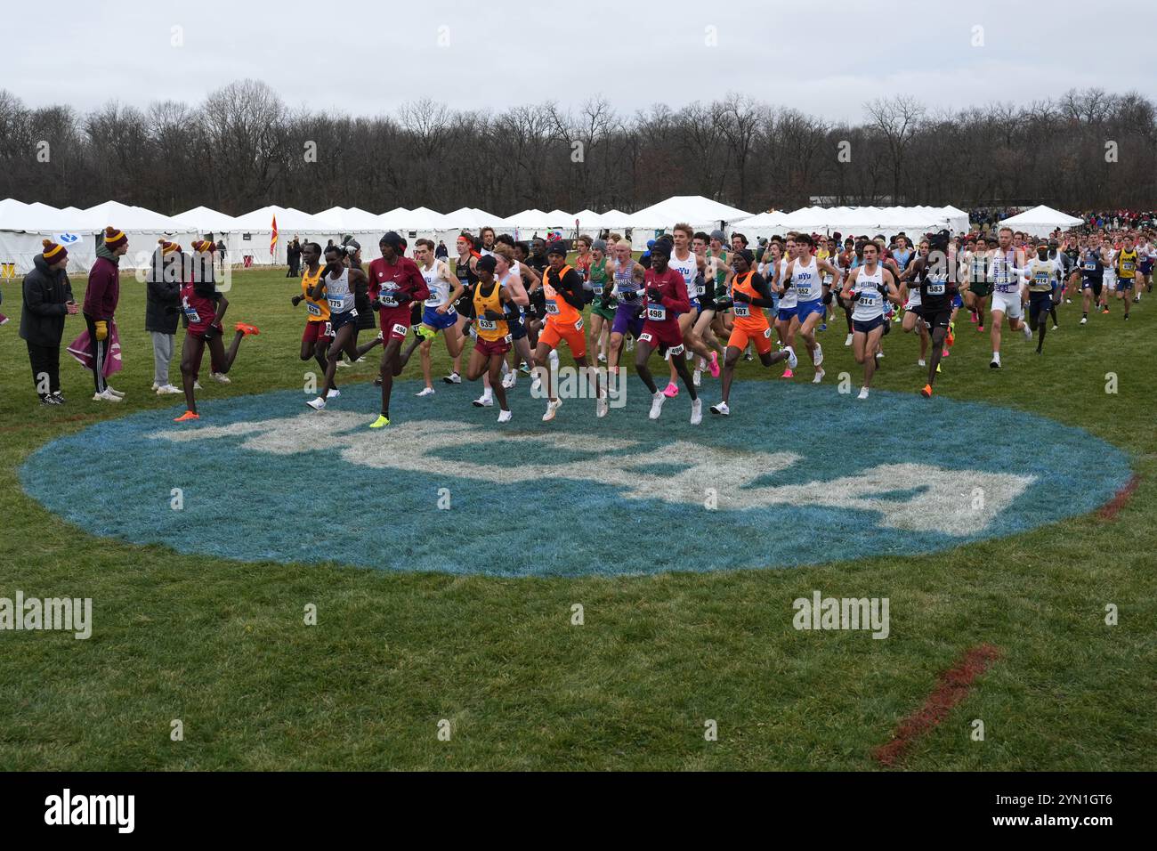 Madison, Wisconsin, Stati Uniti. 23 novembre 2024. Una visione generale dei corridori che corrono sopra il logo NCAA durante i campionati NCAA di fondo al Thomas Zimmer Championship Course, sabato 23 novembre 2024, a Madison, Wisc. Crediti: Kirby Lee/Alamy Live News Foto Stock