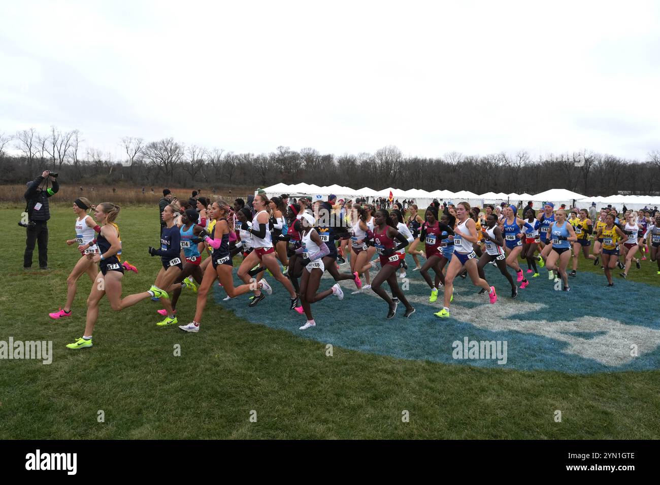 Madison, Wisconsin, Stati Uniti. 23 novembre 2024. Una visione generale come le runner corrono sopra il logo NCAA nella gara femminile durante i campionati NCAA di fondo al Thomas Zimmer Championship Course, sabato 23 novembre 2024, a Madison, Wisc. Crediti: Kirby Lee/Alamy Live News Foto Stock