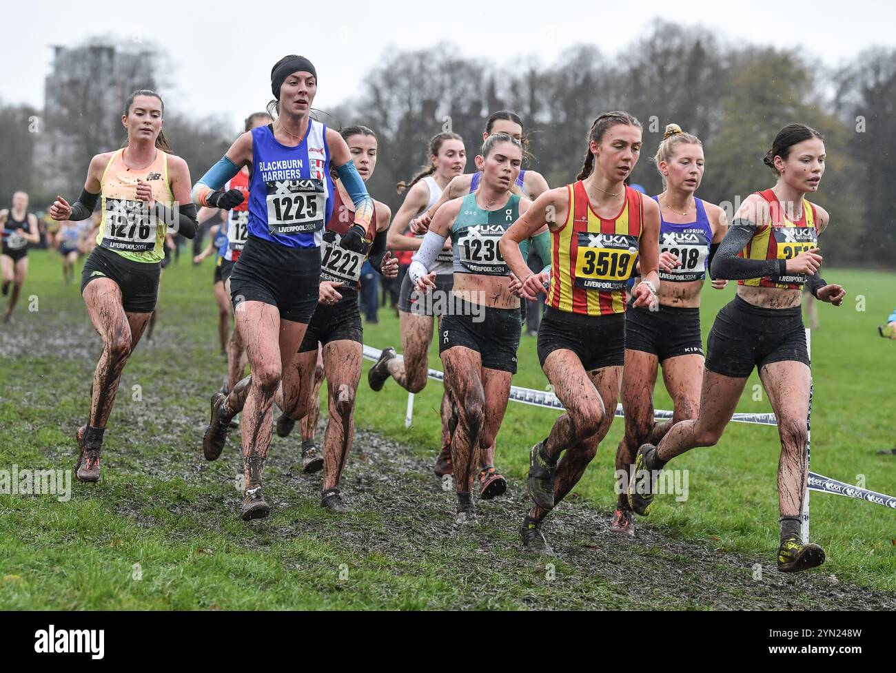 Liverpool, Regno Unito. 23 novembre 2024. Kate Willis 2nd (3519)   Meg Gadsby 1st (3518) City of Norwich AC gareggia nella gara senior e femminile u23 al British Athletics Cross Challenge, Sefton Park, Liverpool UK il 23 novembre 2024. Foto di Gary Mitchell Credit: Gary Mitchell, GMP Media/Alamy Live News Foto Stock