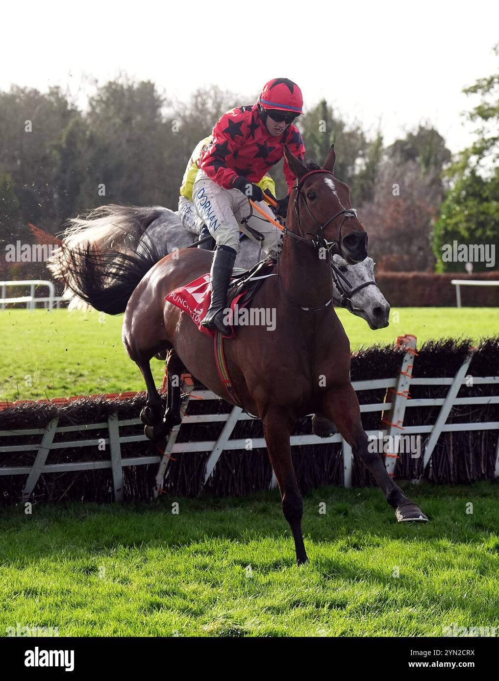 Il Big Westerner guidato dal fantino Darragh o'Keeffe sulla strada per vincere l'I.N.H. Stallion Owners EBF Maiden hurdle al Punchestown Racecourse nella contea di Kildare, in Irlanda. Data foto: Domenica 24 novembre 2024. Foto Stock