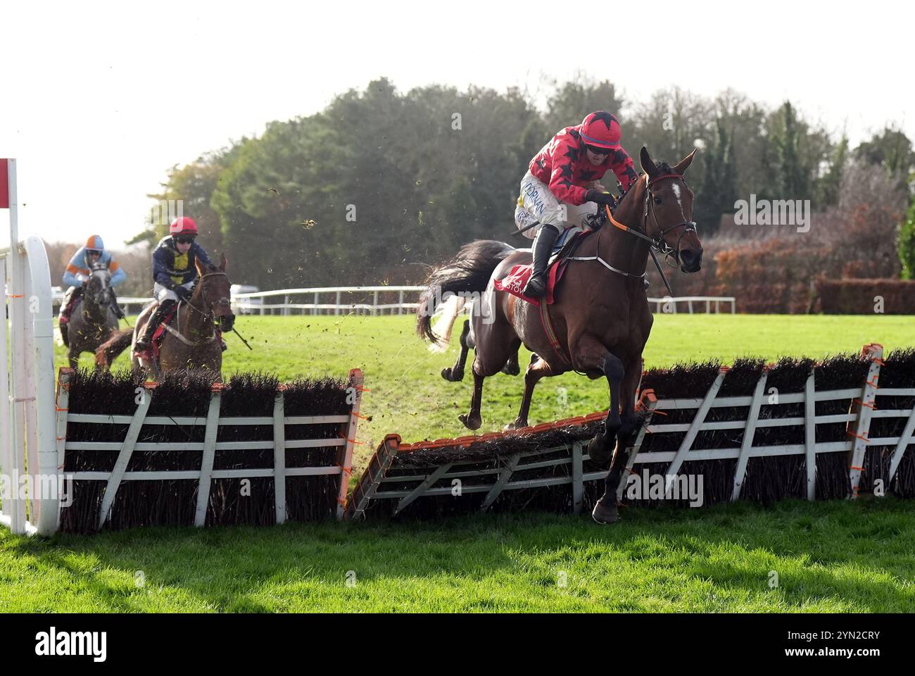 Il Big Westerner guidato dal fantino Darragh o'Keeffe sulla strada per vincere l'I.N.H. Stallion Owners EBF Maiden hurdle al Punchestown Racecourse nella contea di Kildare, in Irlanda. Data foto: Domenica 24 novembre 2024. Foto Stock