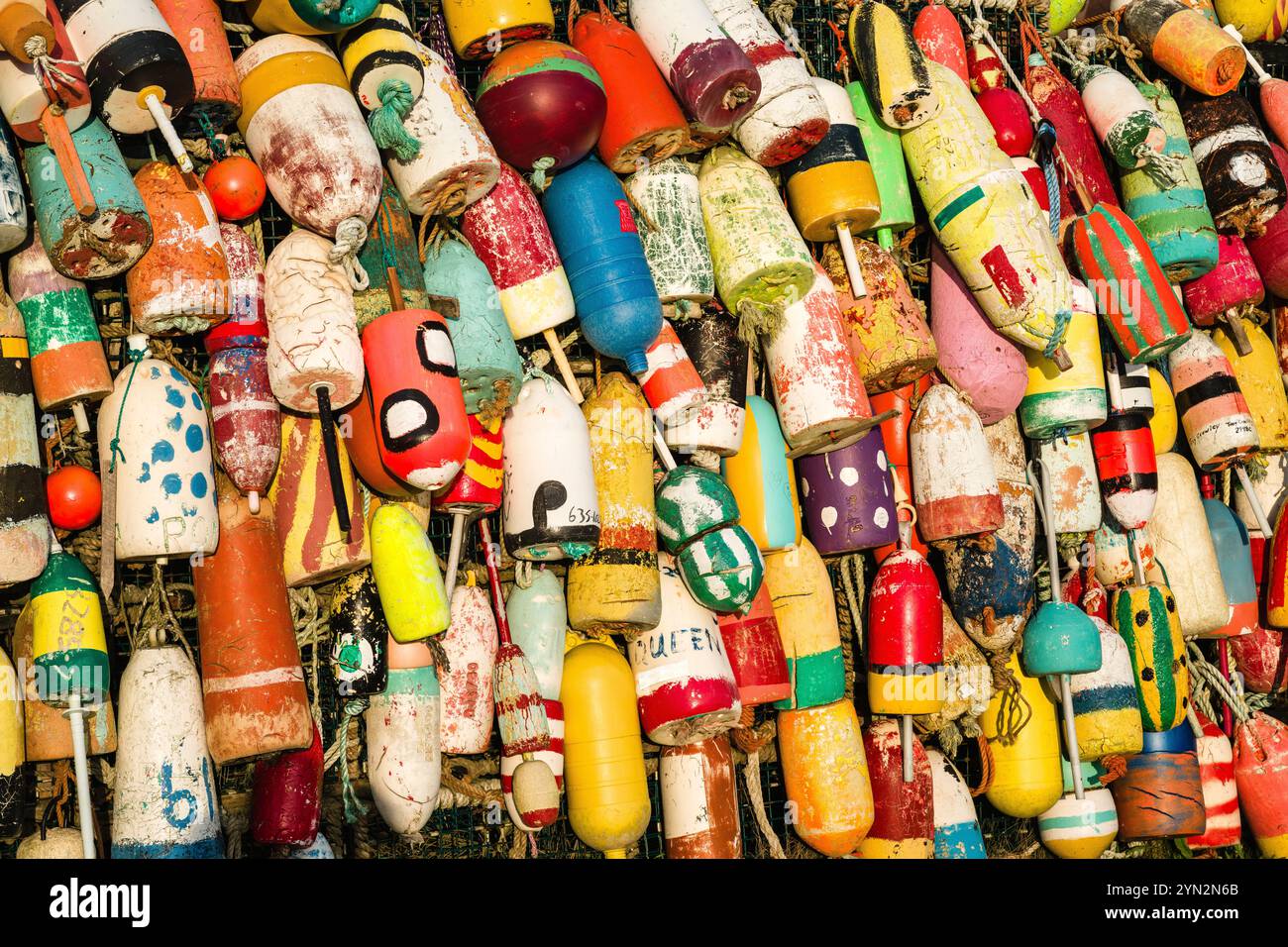 Boe Yarmouth Buoy Wall aragosta _ Yarmouth Bar, nuova Scozia, CAN Foto Stock