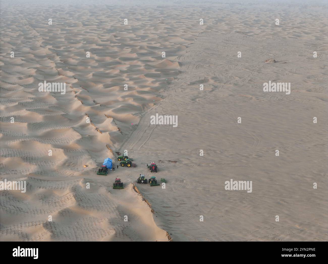 (241124) -- YUTIAN, 24 novembre 2024 (Xinhua) -- Una foto scattata il 9 novembre 2024 mostra gli abitanti del villaggio che piangono le sabbie per piantare Cistanche deserticola, una medicina erboristica cinese, vicino al villaggio di Daliyabuyi, nella contea di Yutian della regione autonoma Xinjiang Uygur della Cina nord-occidentale. Il villaggio di Daliyabuyi una volta si trovava nel cuore del deserto di Taklimakan. Nel 2019, l'intero villaggio completò il suo trasferimento e si trasferì in un sito di reinsediamento più vicino al capoluogo della contea. Di conseguenza, il villaggio pose fine alla sua precedente storia di disagi nei trasporti, nella rete, nell'elettricità, nell'acqua potabile, nelle cure mediche e. Foto Stock