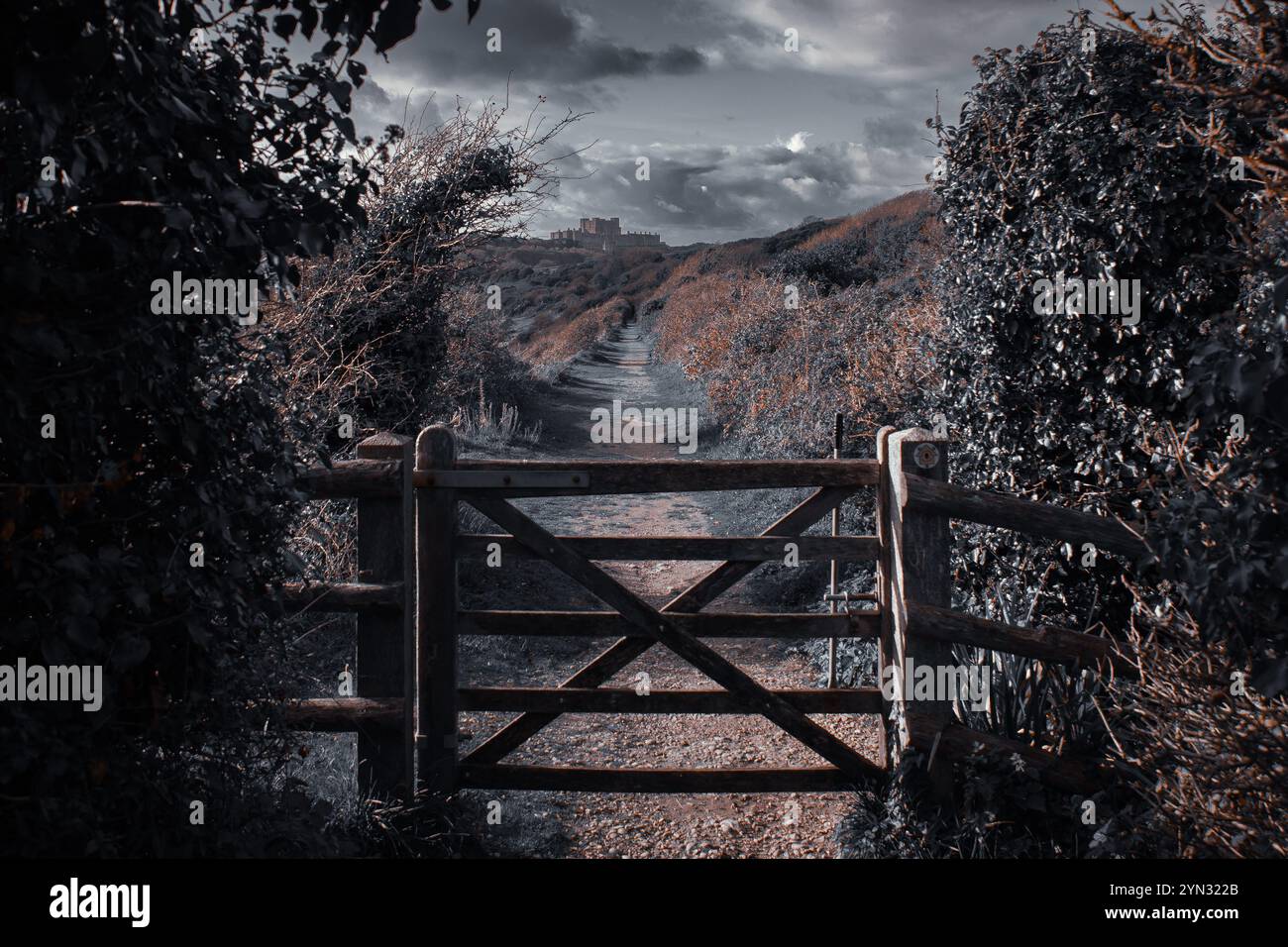 Castello di dover dalle bianche scogliere di dover nel kent Foto Stock