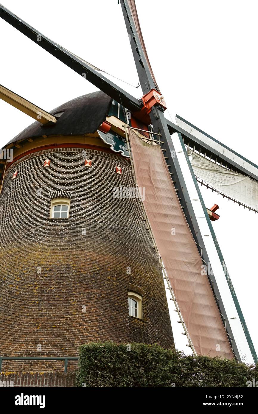 Mulino a vento funzionante nei Paesi Bassi che ancora utilizza per la macinazione del grano Foto Stock
