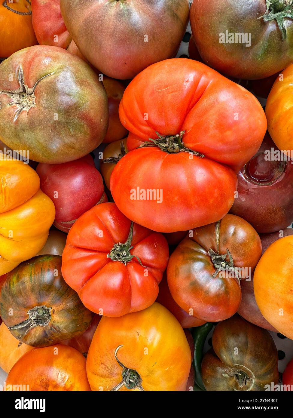 Vista dall'alto dei pomodori cimellati assortiti in un mercato agricolo Foto Stock