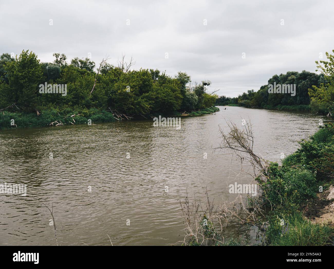 Paesaggio naturale di una valle di fiume di cimice al confine tra polonia e Bielorussia Foto Stock