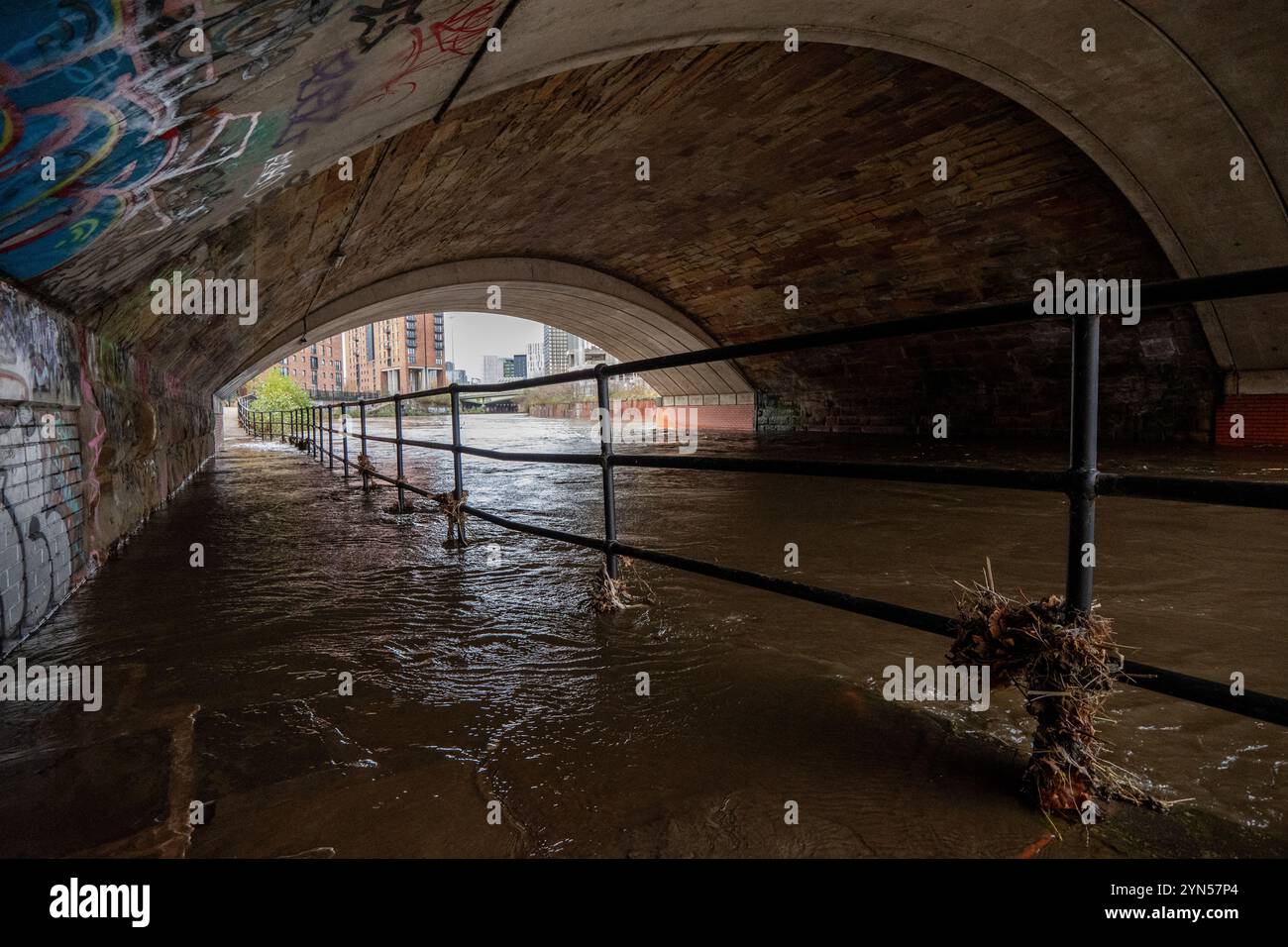 Manchester, Regno Unito. 24 novembre 2024. Ponte con percorso allagato nel centro di Manchester vicino agli studi Aviva. La tempesta Bert ha causato l'inondazione delle sponde del fiume Irwell, bloccando i passaggi pedonali lungo il fiume per i cani e i pedoni nel centro di Manchester, presso gli studi Aviva. Il Lower River Irwell, che attraversa Manchester, Salford e Trafford, è soggetto a forti allarmi di inondazione con maggiori previsioni di pioggia. Manchester Regno Unito . Foto: Garyroberts/worldwidefeatures.com credito: GaryRobertsphotography/Alamy Live News Foto Stock