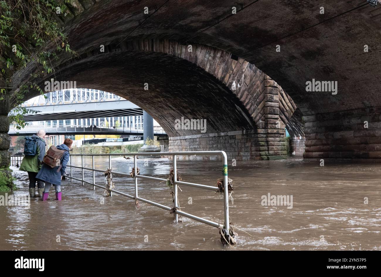 Manchester, Regno Unito. 24 novembre 2024. La coppia tenta di attraversare l'alluvione sul sentiero sotto Bridge con il fiume inondato Irwell, nel centro di Manchester vicino agli studi Aviva. La tempesta Bert ha causato l'inondazione delle sponde del fiume Irwell, bloccando i passaggi pedonali lungo il fiume per i cani e i pedoni nel centro di Manchester, presso gli studi Aviva. Il Lower River Irwell, che attraversa Manchester, Salford e Trafford, è soggetto a forti allarmi di inondazione con maggiori previsioni di pioggia. Manchester Regno Unito . Foto: Garyroberts/worldwidefeatures.com credito: GaryRobertsphotography/Alamy Live News Foto Stock