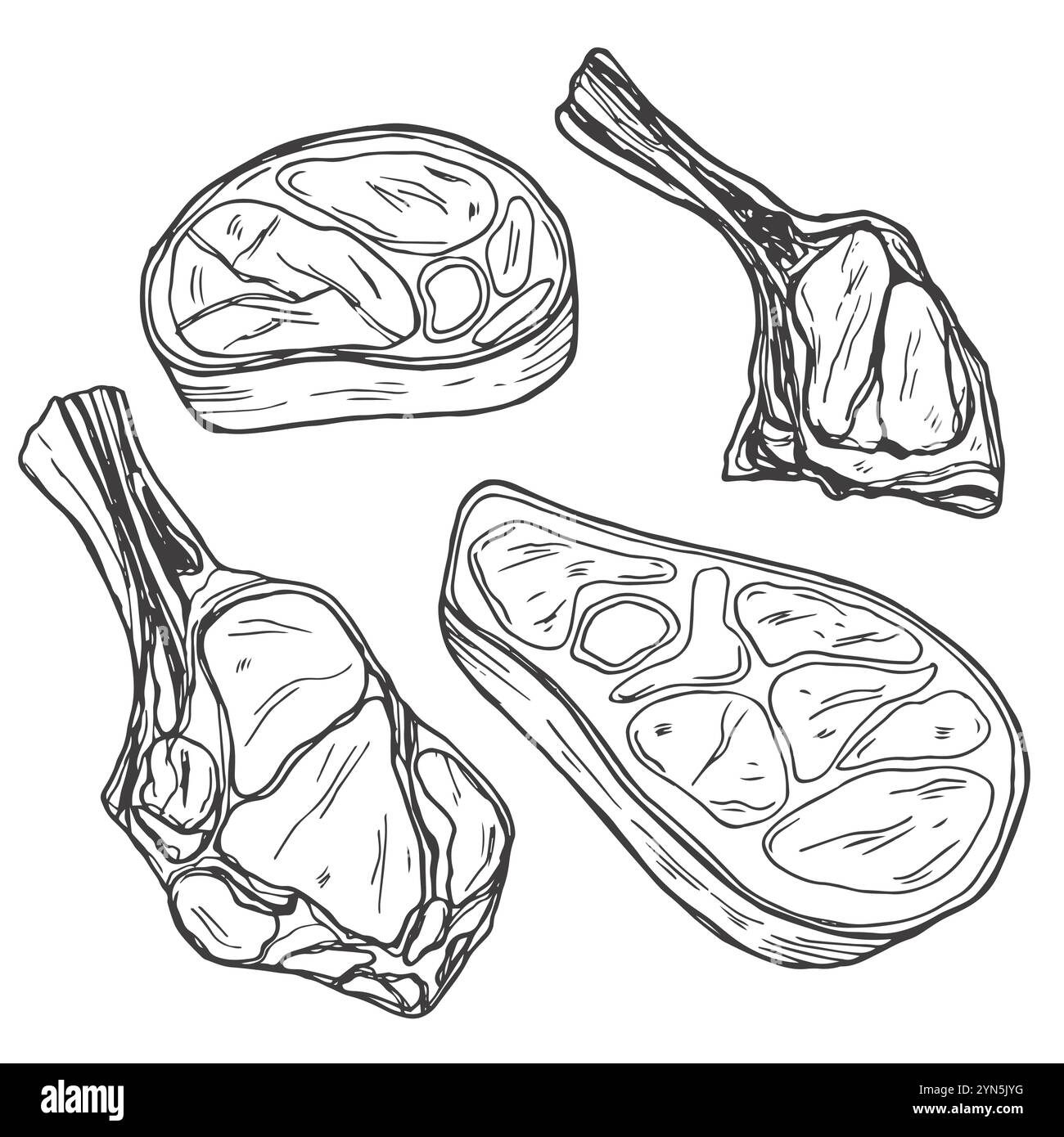 Raccolta di prodotti a base di carne fresca, isolata su sfondo bianco. Illustrazione vettoriale dello schizzo. Elementi di design isolati per alimenti. Pezzi di salame, prosciutto di tacchino, Illustrazione Vettoriale