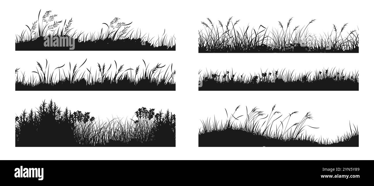 Sagoma erba. Prato di Reed. Orizzonte prato. Paesaggio di campi di fiori. Giardino primaverile. Scenario bordo nero. Natura selvaggia. Panora paludosa Illustrazione Vettoriale